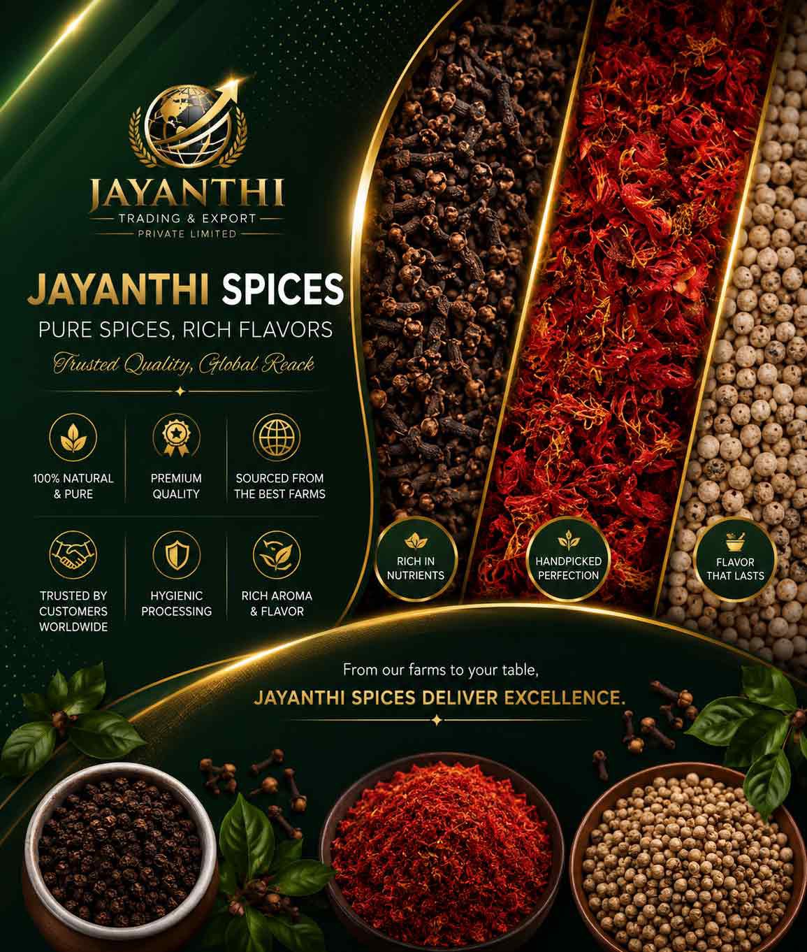Jayanthi Trading and Export (Pvt) Ltd | Premium Sri Lankan Exports & Trading Solutions